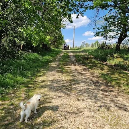 Les Fontenelliers Luxury 5 Star Villa *